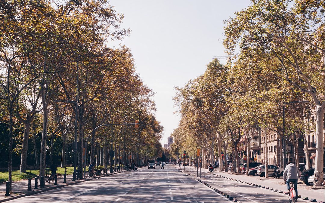 Disfruta como un local de una mañana en Barcelona