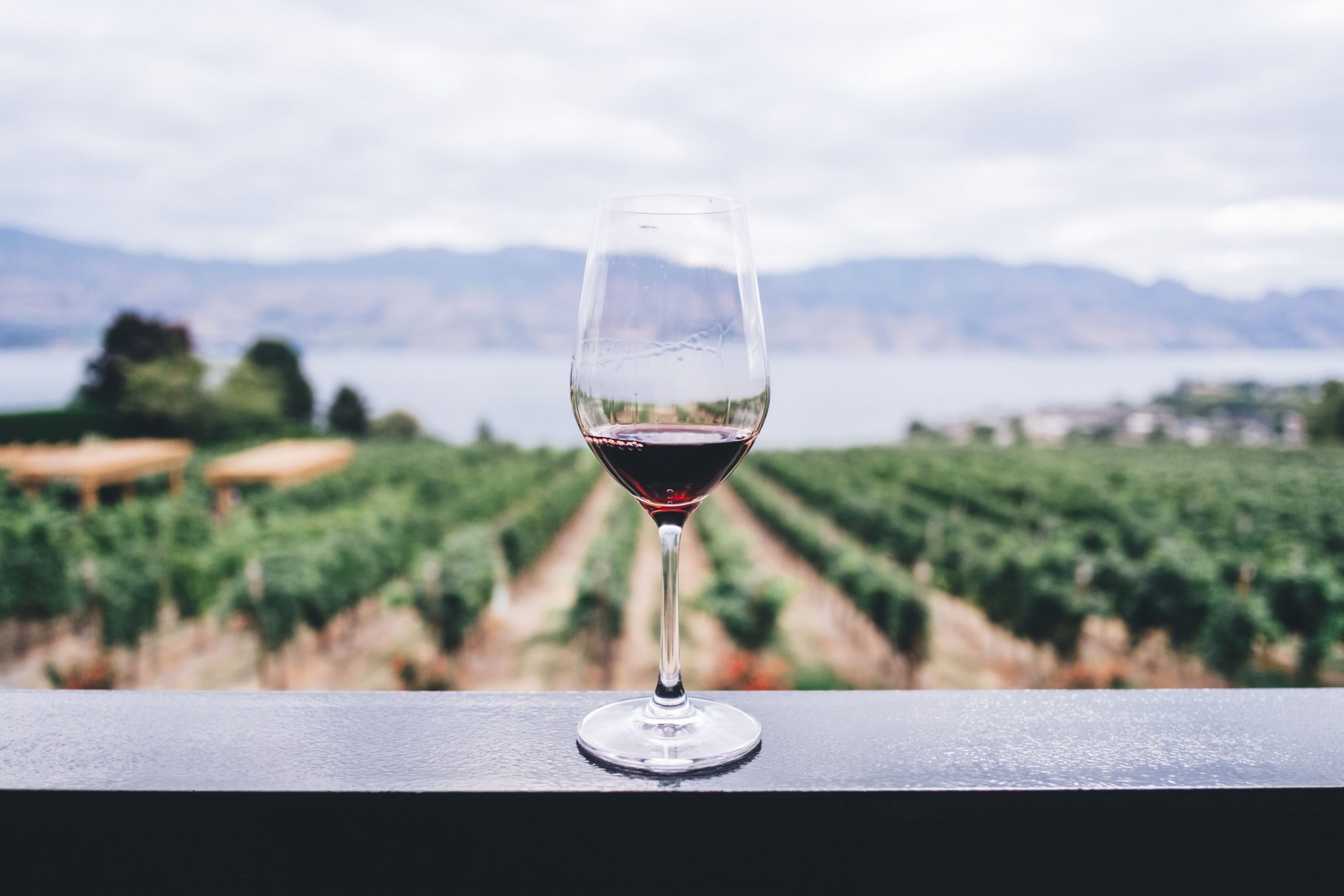 wine tasting tour_Barcelona_Casagrand