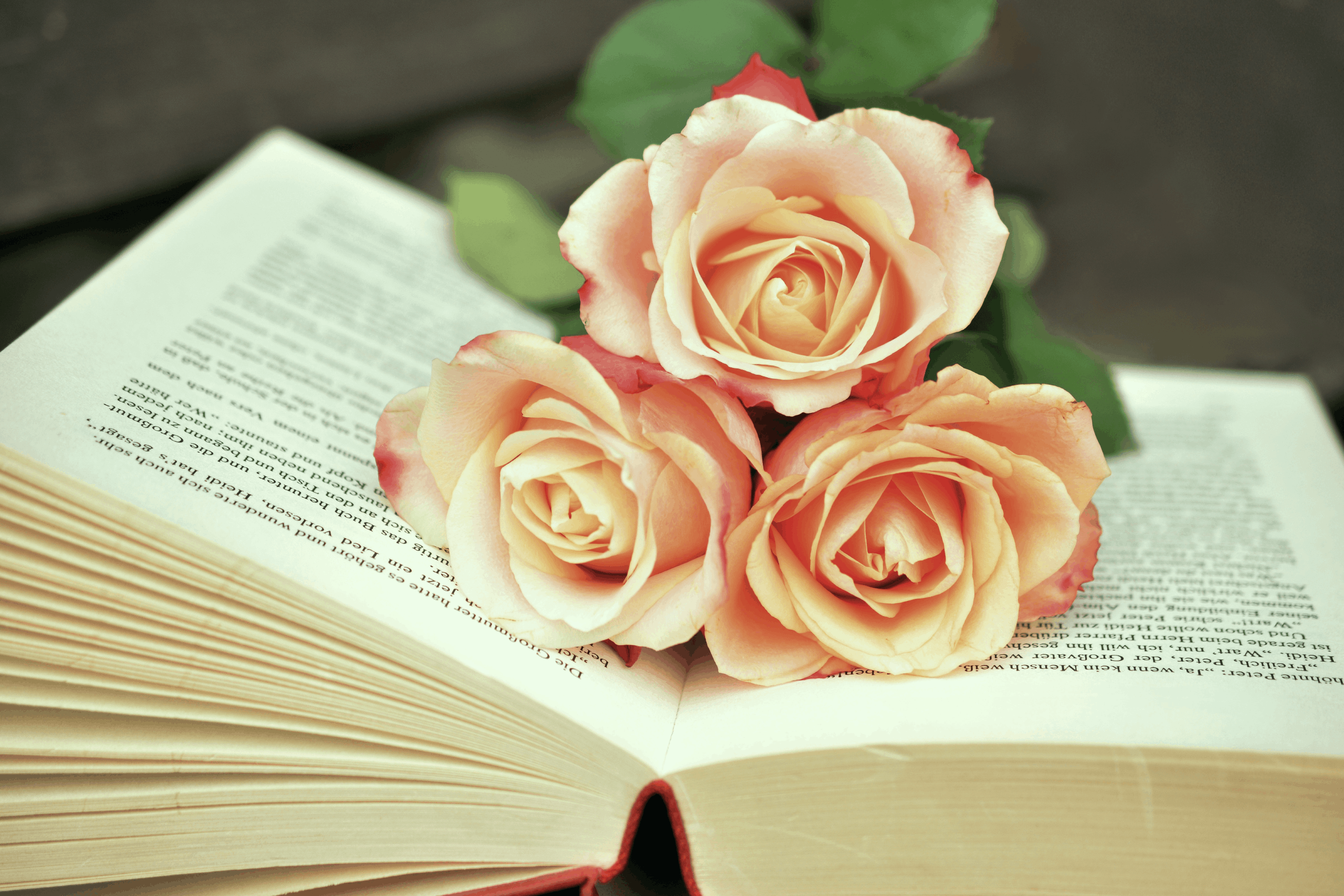 casagrand_sant jordi day